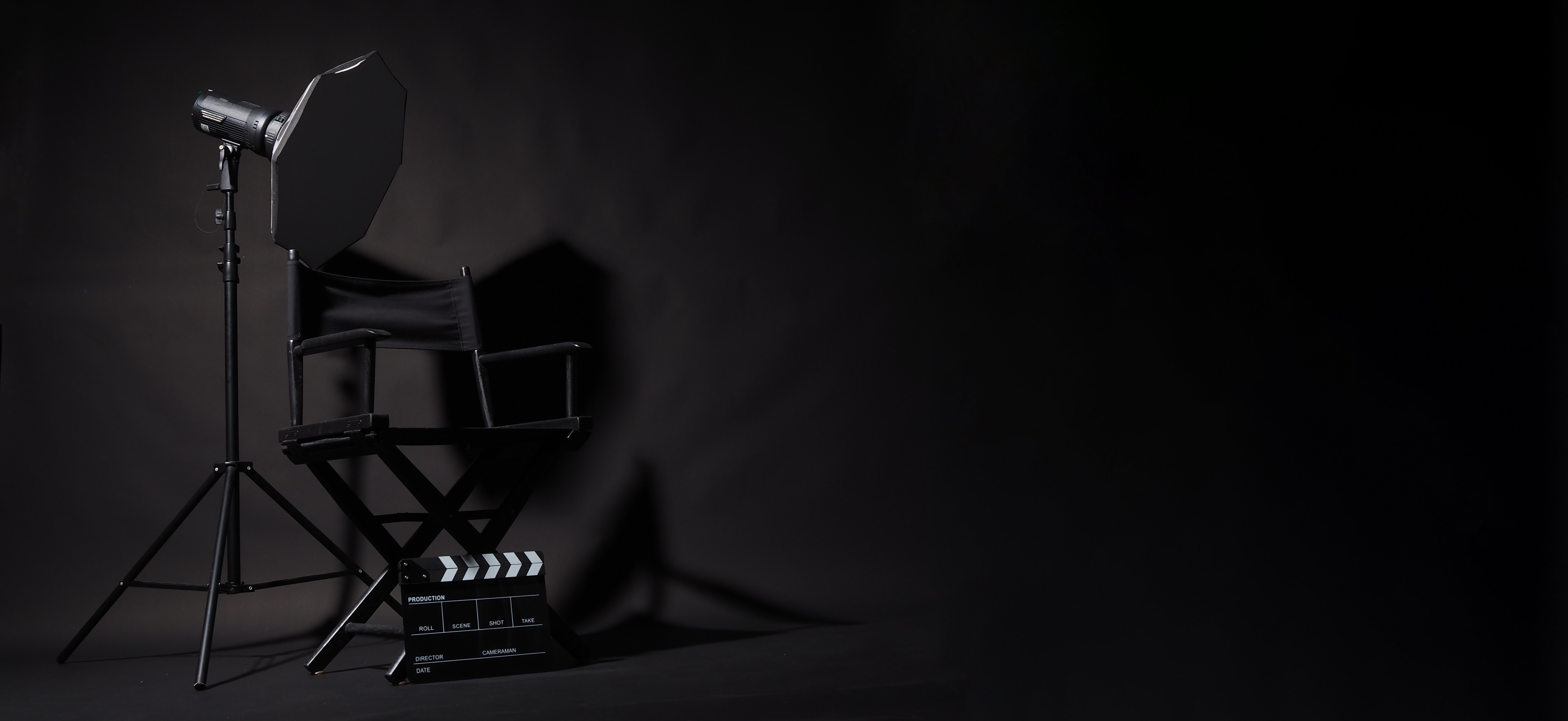 Director chair