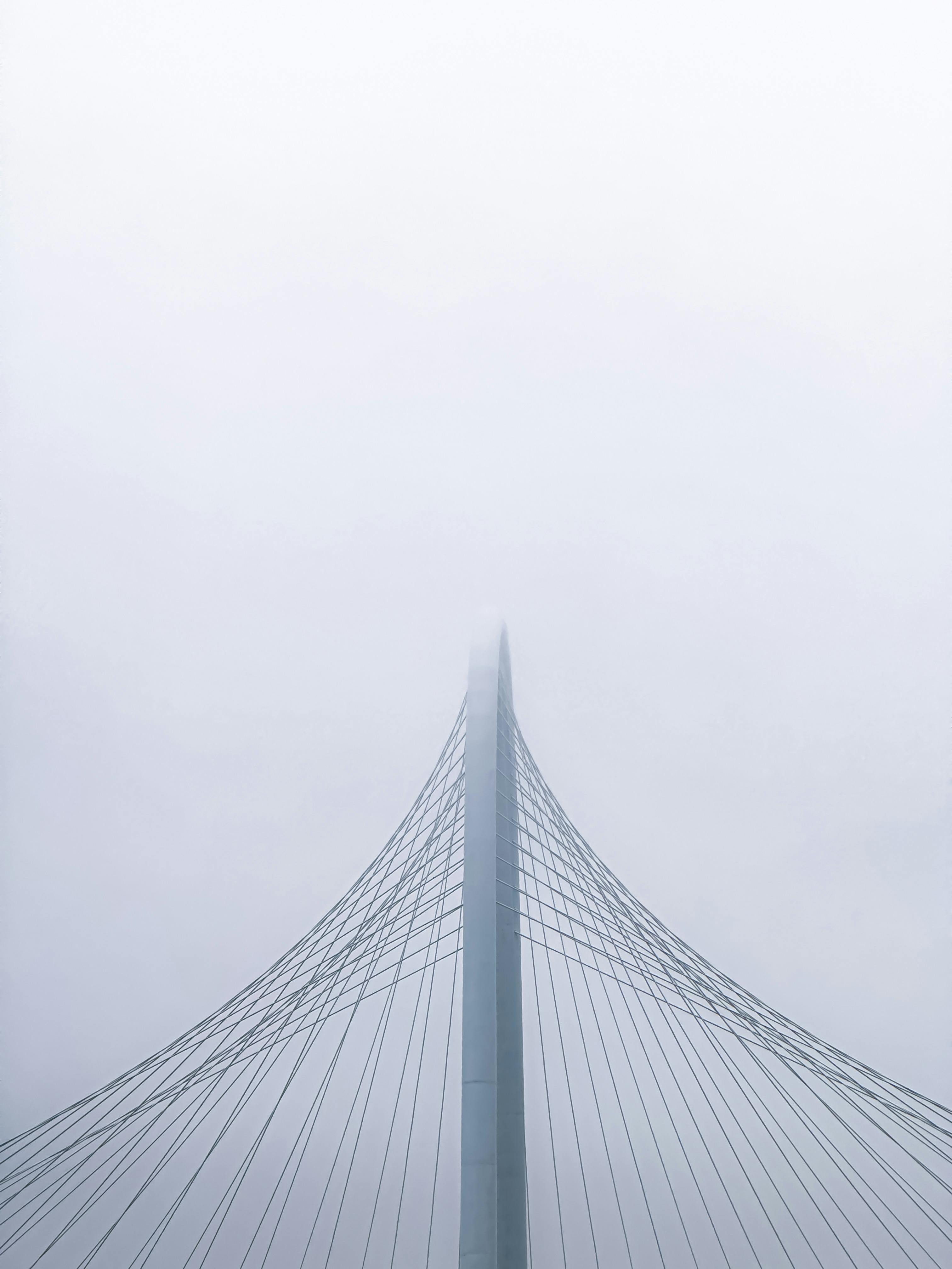 pexels juan alvarado 336304283 20840738